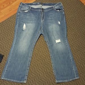 Lane Bryant Distressed Jeans